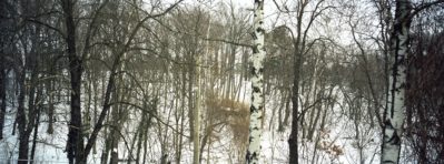 No.142 Dresden, Deutschland, 16.-18.1.2009 No.142 Dresden, Deutschland, 16.-18.1.2009