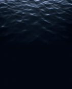 Stephan Schenk_navigatio vitae_5 Stephan Schenk_navigatio vitae_5