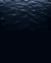 navigatio vitae, 2018