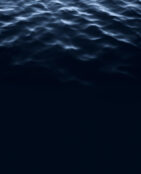 Stephan Schenk_navigatio vitae_6 Stephan Schenk_navigatio vitae_6